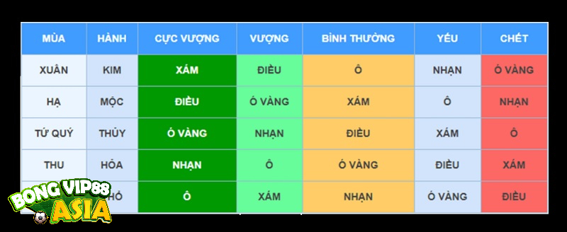 Có đa dạng cách xem màu mạng gà mà bạn có thể lựa chọn