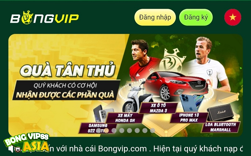 Cá cược đá gà tại Bongvip88 vô cùng được yêu thích